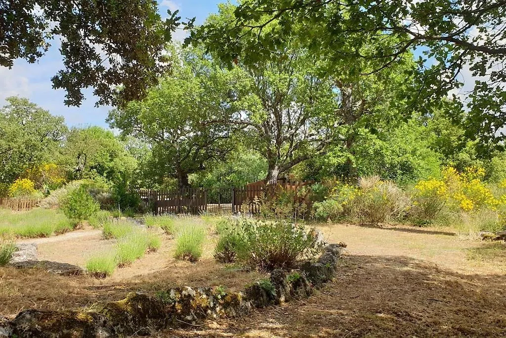 Maison De Caractere Dans Luberon Avec Piscine Saignon Holiday home