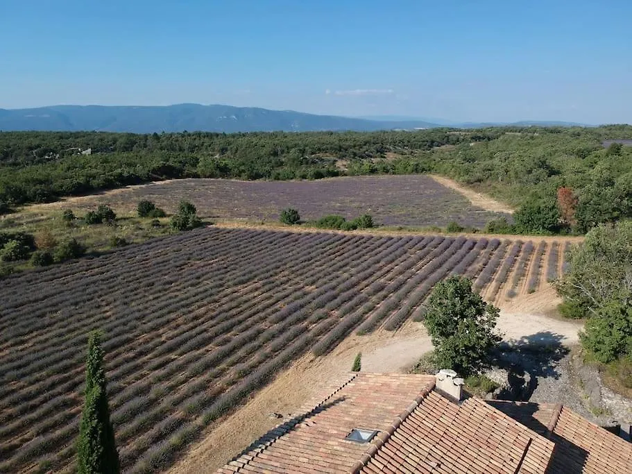 Maison De Caractere Dans Luberon Avec Piscine Saignon
