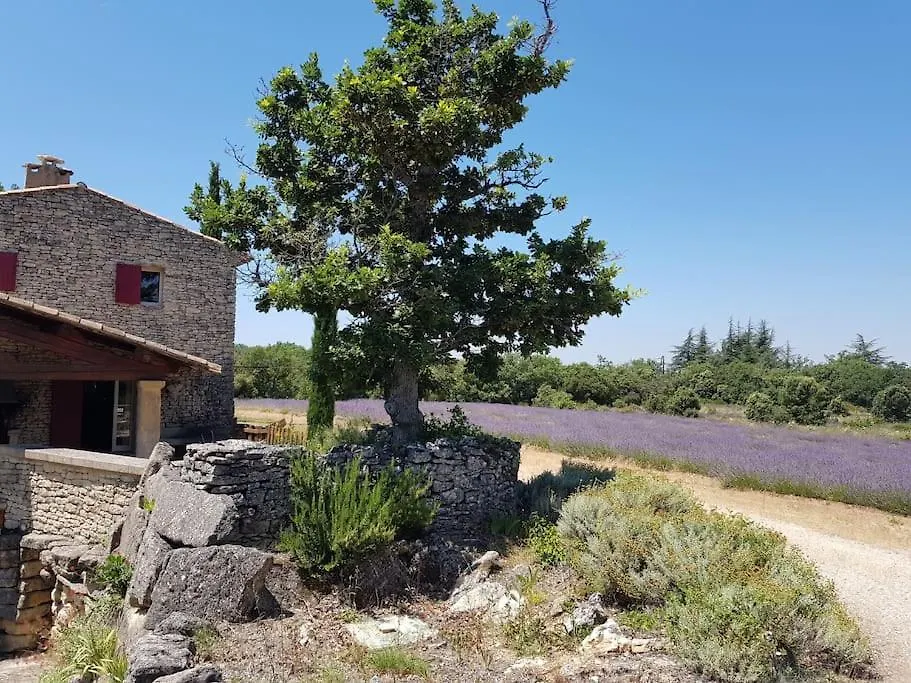 Maison De Caractere Dans Luberon Avec Piscine Saignon Prázdninový dům